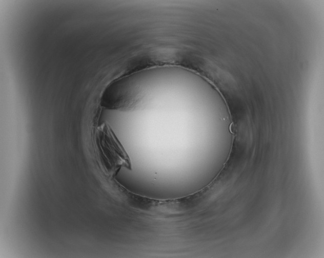 X0000114161201200910081346