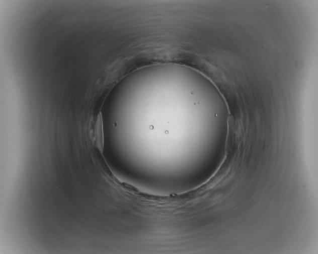 X0000114161202200910081346