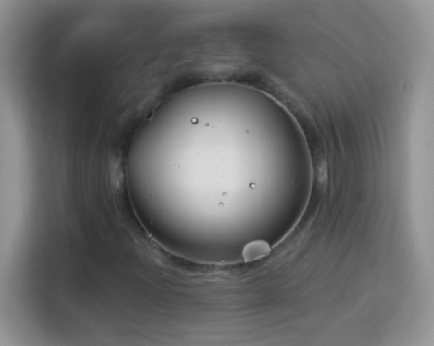 X0000114161204200910081346