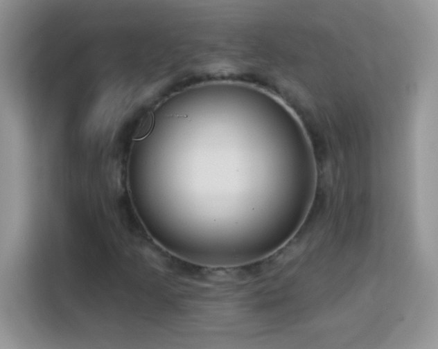 X0000114161205200910081346