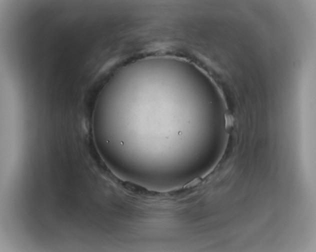 X0000114161206200910081346