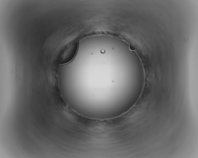 X0000114161207200910081346