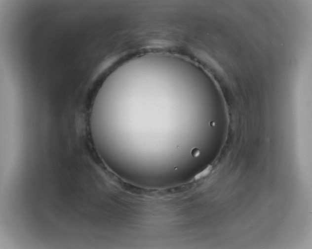 X0000114161208200910081346