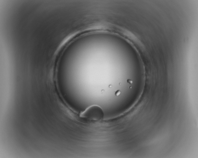 X0000114161216200910081346