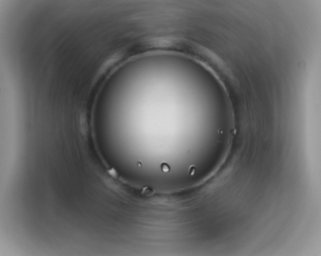 X0000114161218200910081346