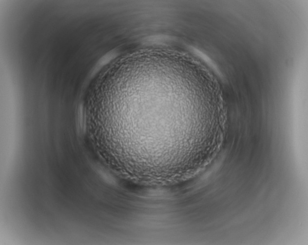X0000114161219200910081346