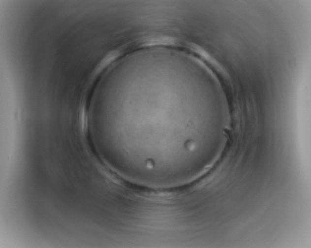 X0000114161221200910081346