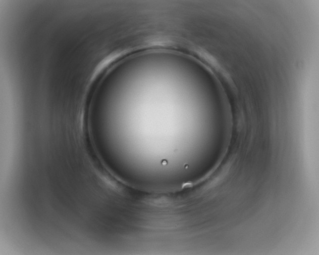 X0000114161222200910081346