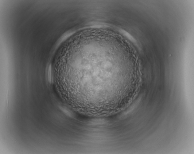 X0000114161223200910081346