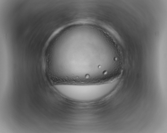 X0000114161224200910081346