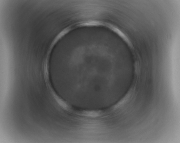 X0000114161229200910081347