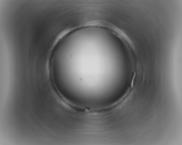 X0000114161230200910081347