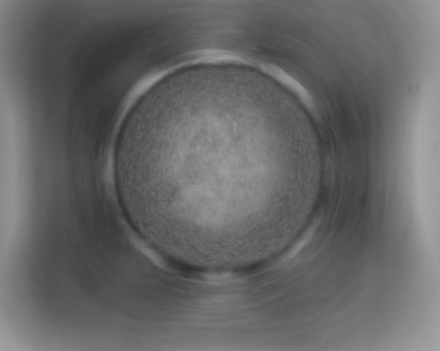 X0000114161231200910081347