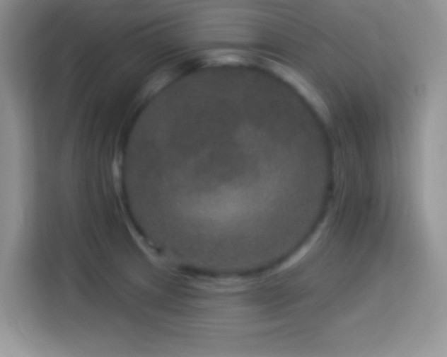 X0000114161233200910081347