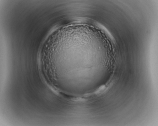 X0000114161235200910081347