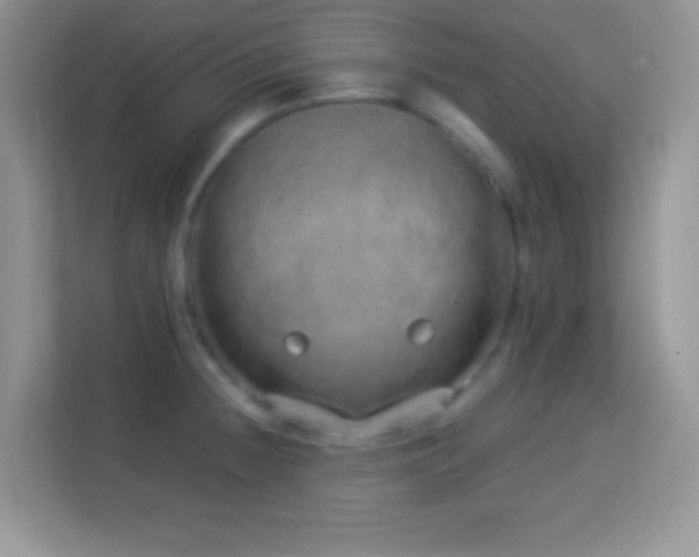 X0000114161236200910081347