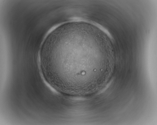 X0000114161239200910081347