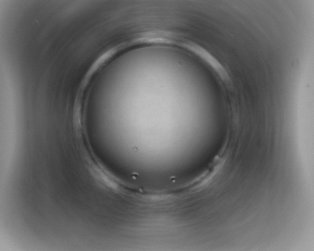 X0000114161240200910081347