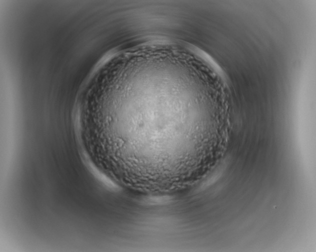 X0000114161243200910081347
