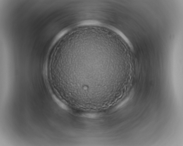 X0000114161245200910081347