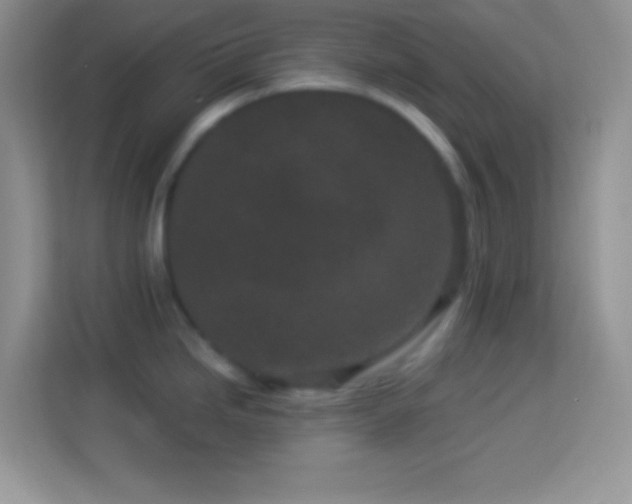 X0000114161246200910081347