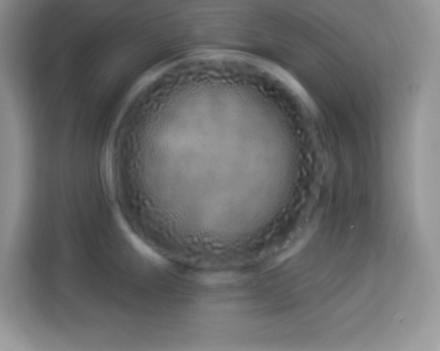X0000114161247200910081347