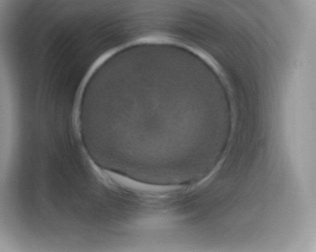 X0000114161248200910081347