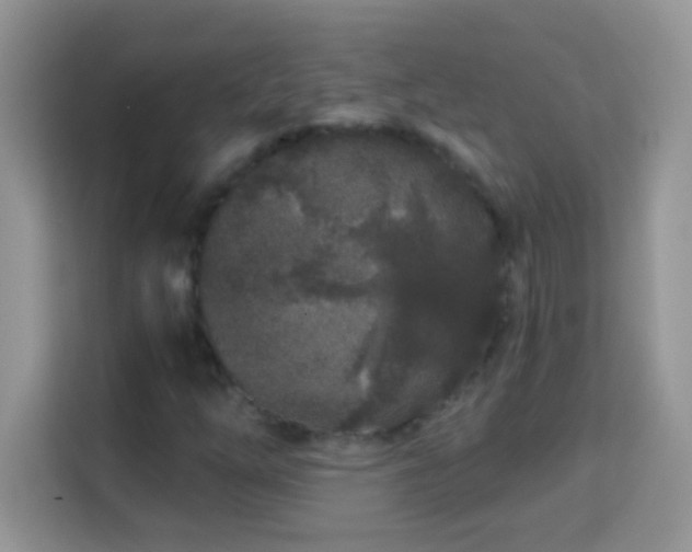 X0000114161254200910081346