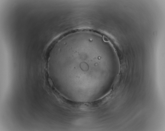 X0000114161255200910081346