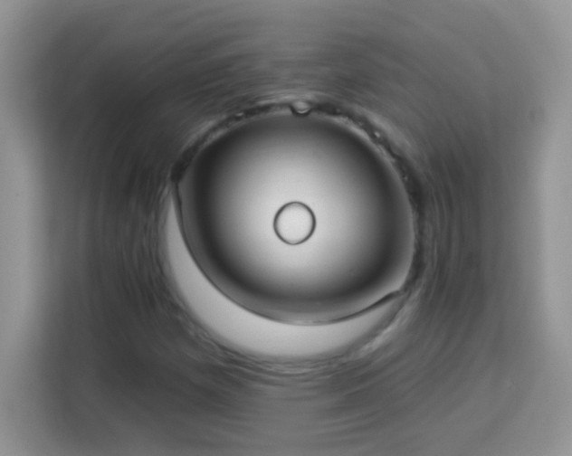 X0000114161257200910081346