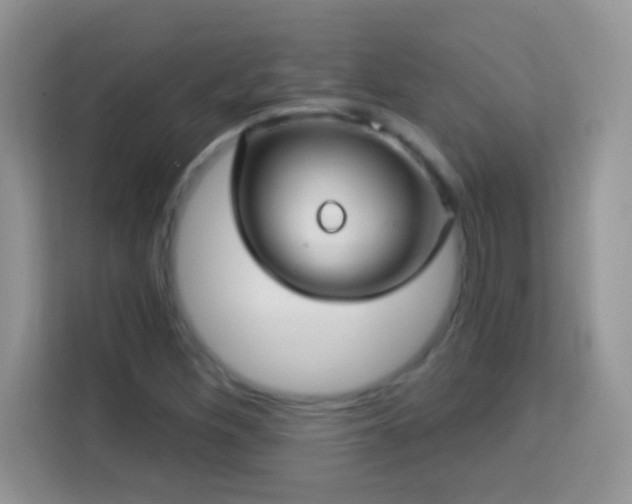 X0000114161260200910081346