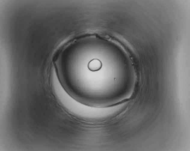 X0000114161261200910081346