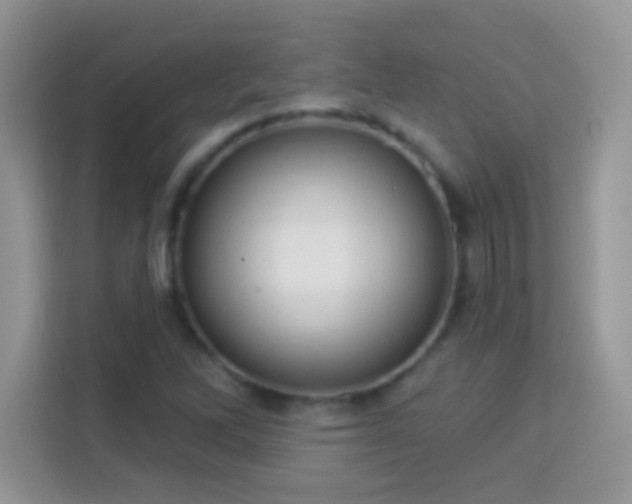 X0000114161262200910081346