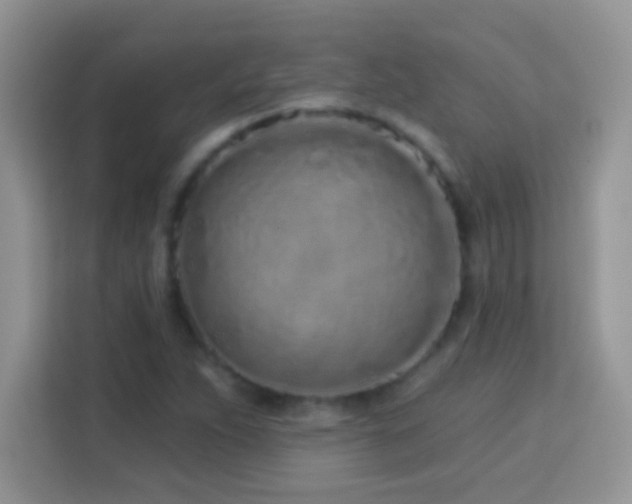 X0000114161263200910081346