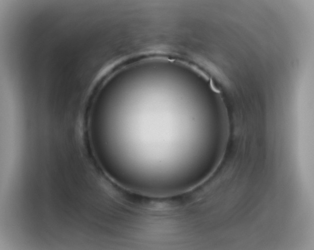 X0000114161264200910081346