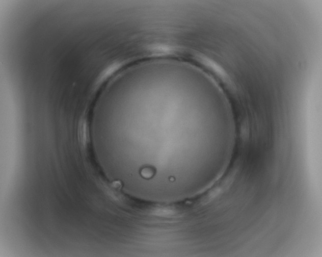 X0000114161267200910081346