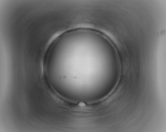 X0000114161271200910081346