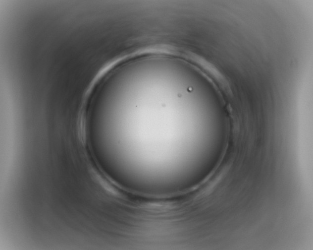 X0000114161272200910081346