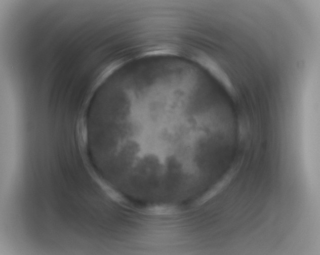 X0000114161274200910081346