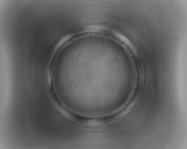 X0000114161275200910081346