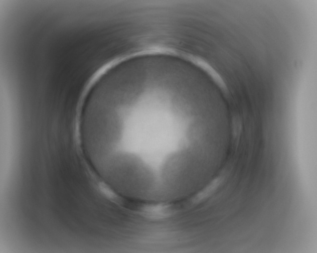 X0000114161278200910081346