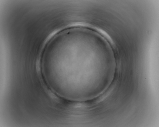 X0000114161279200910081346