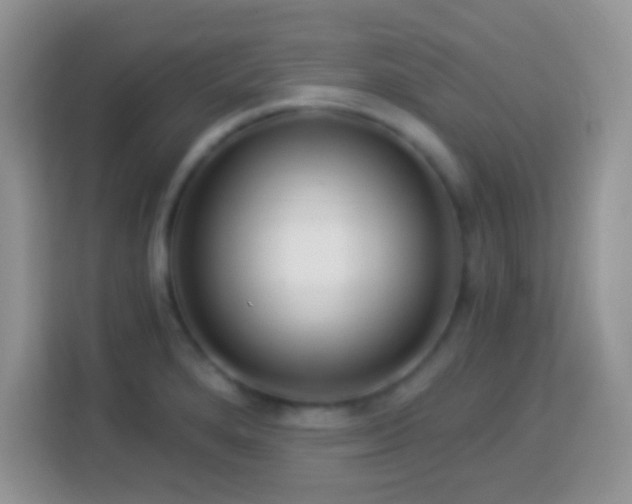 X0000114161280200910081346