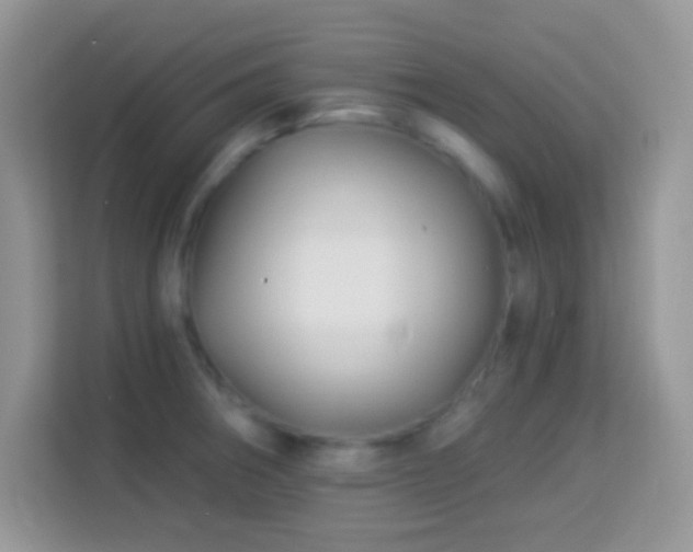 X0000114161282200910081346