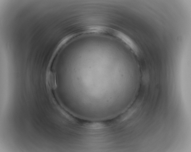 X0000114161283200910081346
