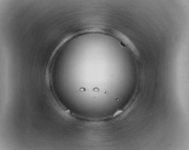X0000114161284200910081346