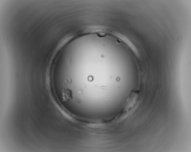 X0000114161285200910081346