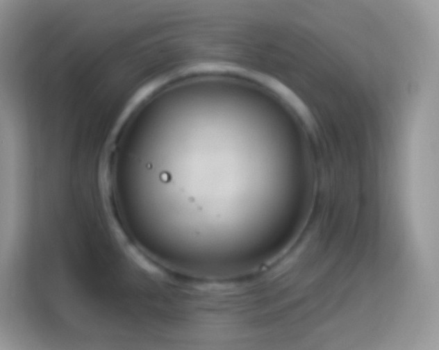 X0000114161287200910081345