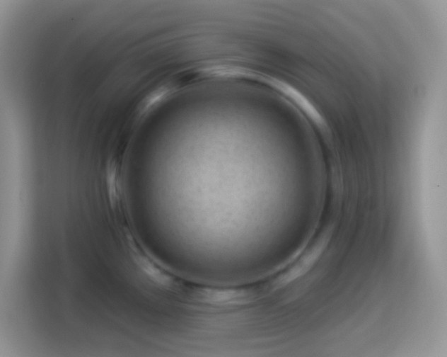 X0000114161289200910081345