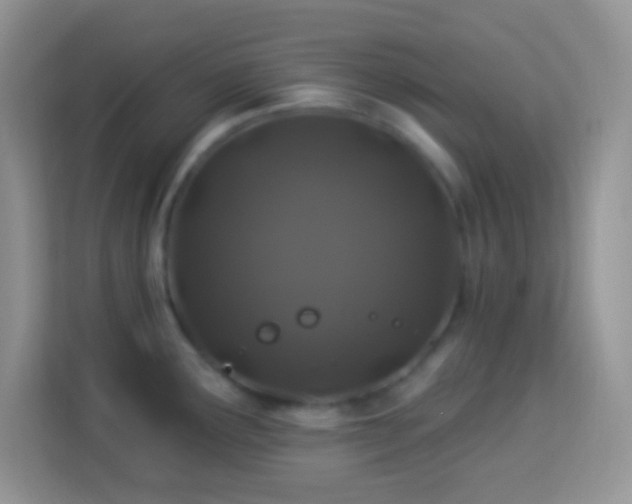 X0000114161291200910081345